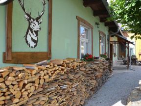 Penzion U Jelena - Hrab�ice