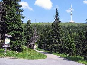 � 1 �ervenohorsk� sedlo - Prad�d - Jelen� stud�nka (Hrub� Jesen�k I.)