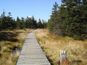 � 1 �ervenohorsk� sedlo - Prad�d - Jelen� stud�nka (Hrub� Jesen�k I.)