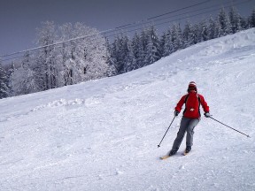 Ski Zálesí - Javorník