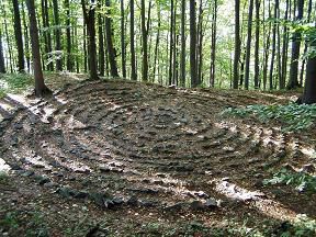 Zřícenina Nový hrad