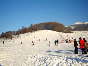 Lyask arel Kocin - Loun nad Desnou