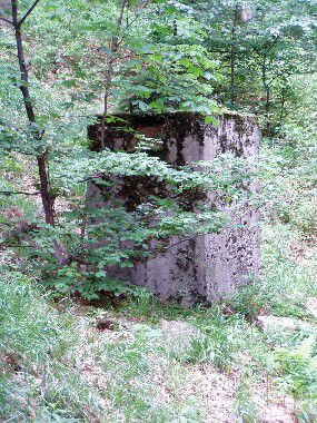 Dělostřelecký podstavec - Bělá pod Pradědem, Domašov
