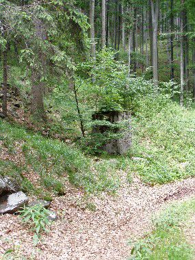 Dělostřelecký podstavec - Bělá pod Pradědem, Domašov