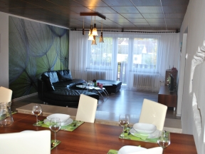 Apartment Mlýnská - Jeseník, Bukovice