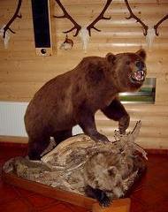 Guest house Grizzly - Vrbno pod Prad�dem, Ludv�kov