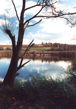 Vidnavské mokřiny (loučky)