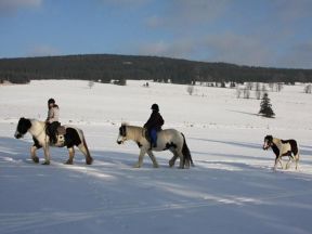 Apartmny Farma Bovine - Hemanovice