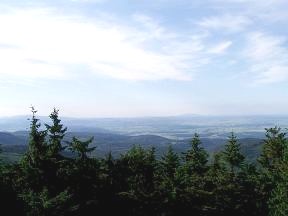 Rozhledna na Borůvkové Hoře - Javorník, Travná