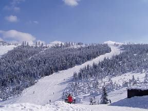 Ski areál Červenohorské sedlo