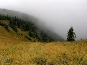 Skupina tras KČT - Králický Sněžník