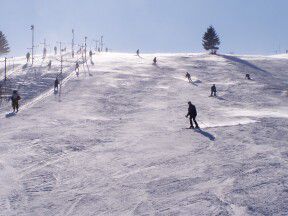 Jonas Park Ostružná