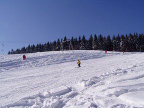 Jonas Park Ostružná