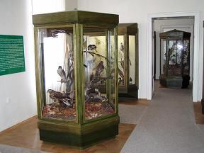 Vlastivědné muzeum Šumperk