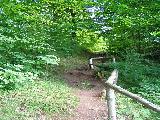 Zcenina hradu Fultejn - pstupov cesta od eleznin trat