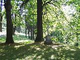 Lzn Jesenk, kolonda - k u mauzolea V. Priessnitze