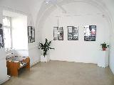 Mstsk muzeum ve Zlatch Horch - galerie SNOP