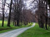 Uhlířský vrch