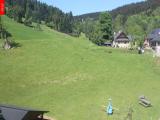 Ostru�n�