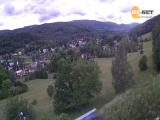 Karlovice