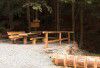 Lesn� bar - Lipov� l�zn�, Horn� Lipov�